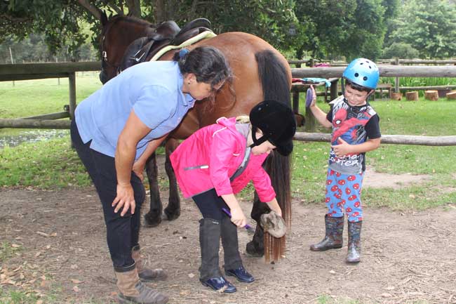 Our horse-riding students are taught to groom their horses and care for them