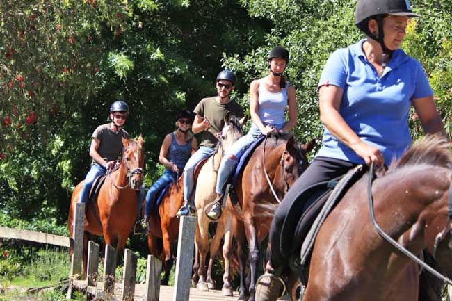 Boschrivier offers beautiful horse outrides, with a horse trail guide in the Plett area.