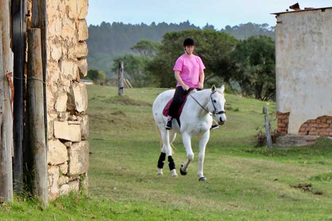 Our Plettenberg Bay equitrailing outrides are highly rated.