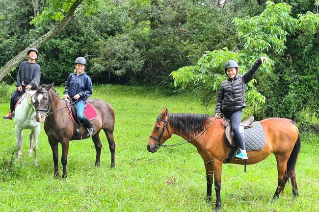 Expertly guided horse riding Plettenberg Bay