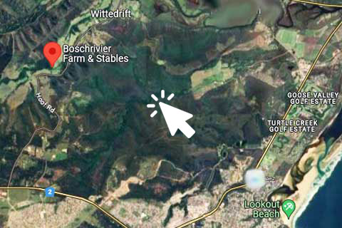 Click for detailed map and directions to Boschrivier Farm & Stables plettenberg Bay