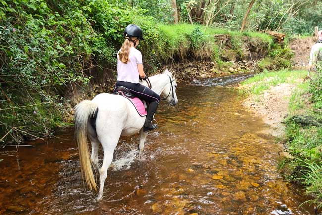 Our beautiful, well-trained ponies offer safe pony rides near Plett.  We also host Plett Pony Parties.