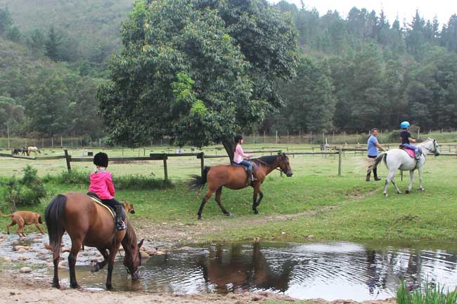 Our Plettenberg Bay equitrailing clients are spoilt with scenic horse trail.